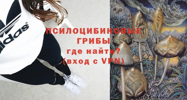ешки Арсеньев