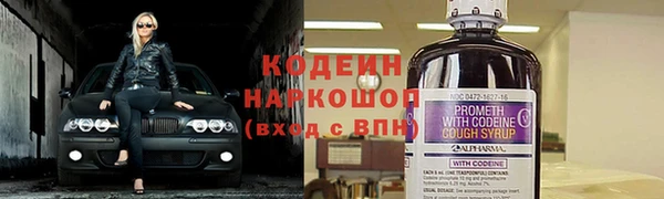 стаф Осинники