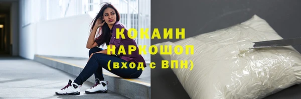 ешки Арсеньев