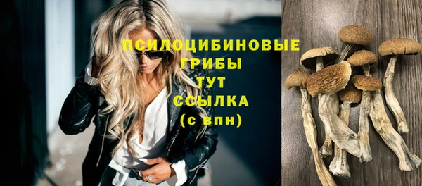 ешки Арсеньев