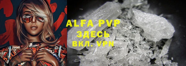 ешки Арсеньев