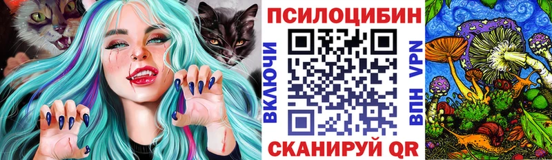 Псилоцибиновые грибы прущие грибы  даркнет сайт  Кинель 